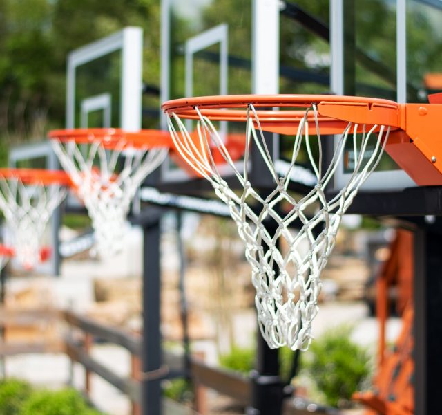 Backyard toys: Basketball hoops